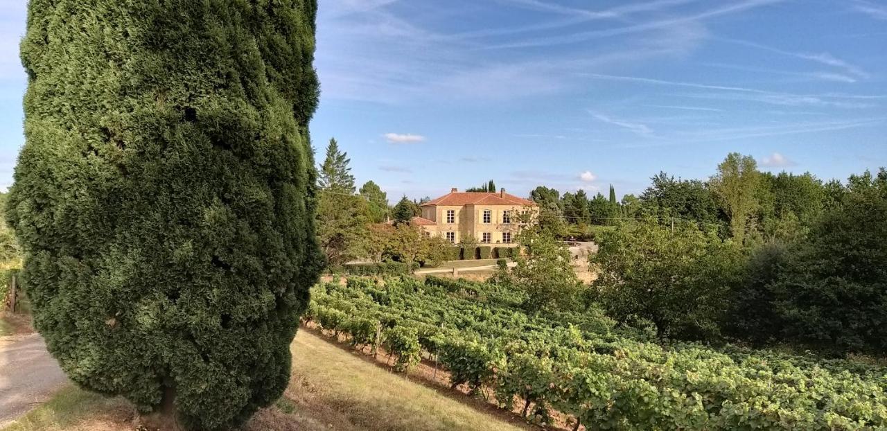 Bed and Breakfast Château de Rouffiac à Duravel Extérieur photo